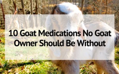 10 Goat Medications No Goat Owner Should Be Without