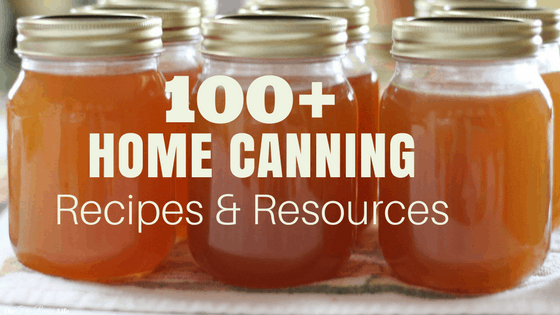 Food Preservation | Home Canning | Pressure Canning | Water Bath Canning | 100 + Home Canning Recipes and Resources