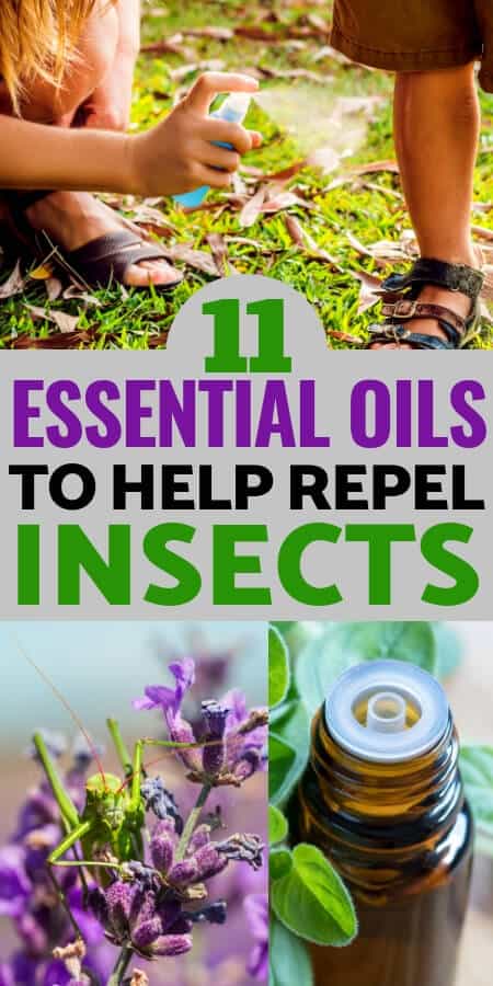 Essential oils deals that repel bugs