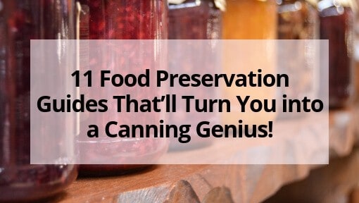 https://thefreerangelife.com/wp-content/uploads/11-Food-Preservation-Guides-That%E2%80%99ll-Turn-You-into-a-Canning-Genius-1.jpg