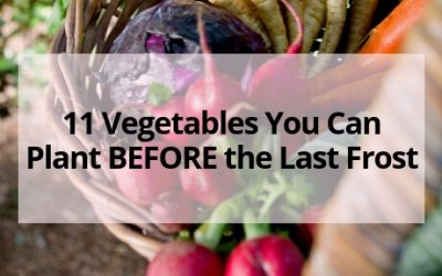 11 Vegetables You Can Plant BEFORE the Last Frost
