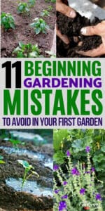 Gardening for Beginners: 11 Gardening Mistakes to Avoid