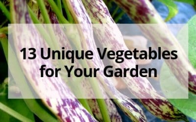 13 Unique and Unusual Vegetables for Your Garden