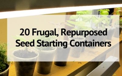 20 Frugal, Repurposed Seed Starting Containers