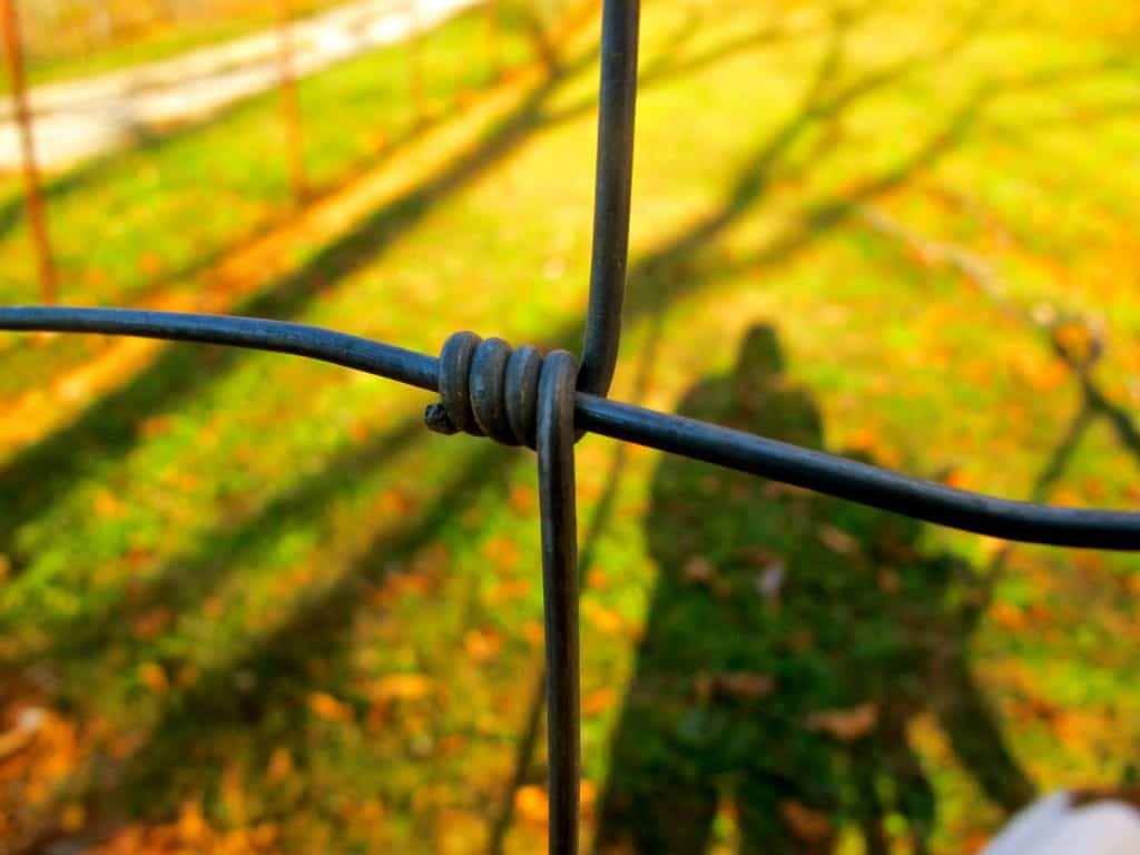 The Ultimate Guide to Your Farm Fencing Options
