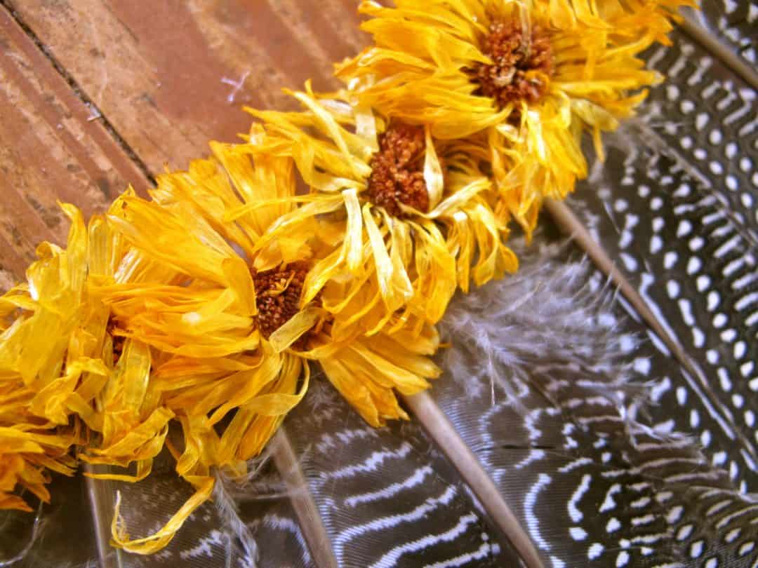 calendula on a feather wreath