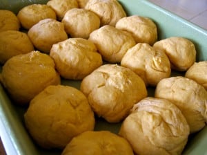 rising sweet potato yeast rolls