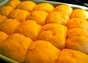 sweet potato yeast rolls