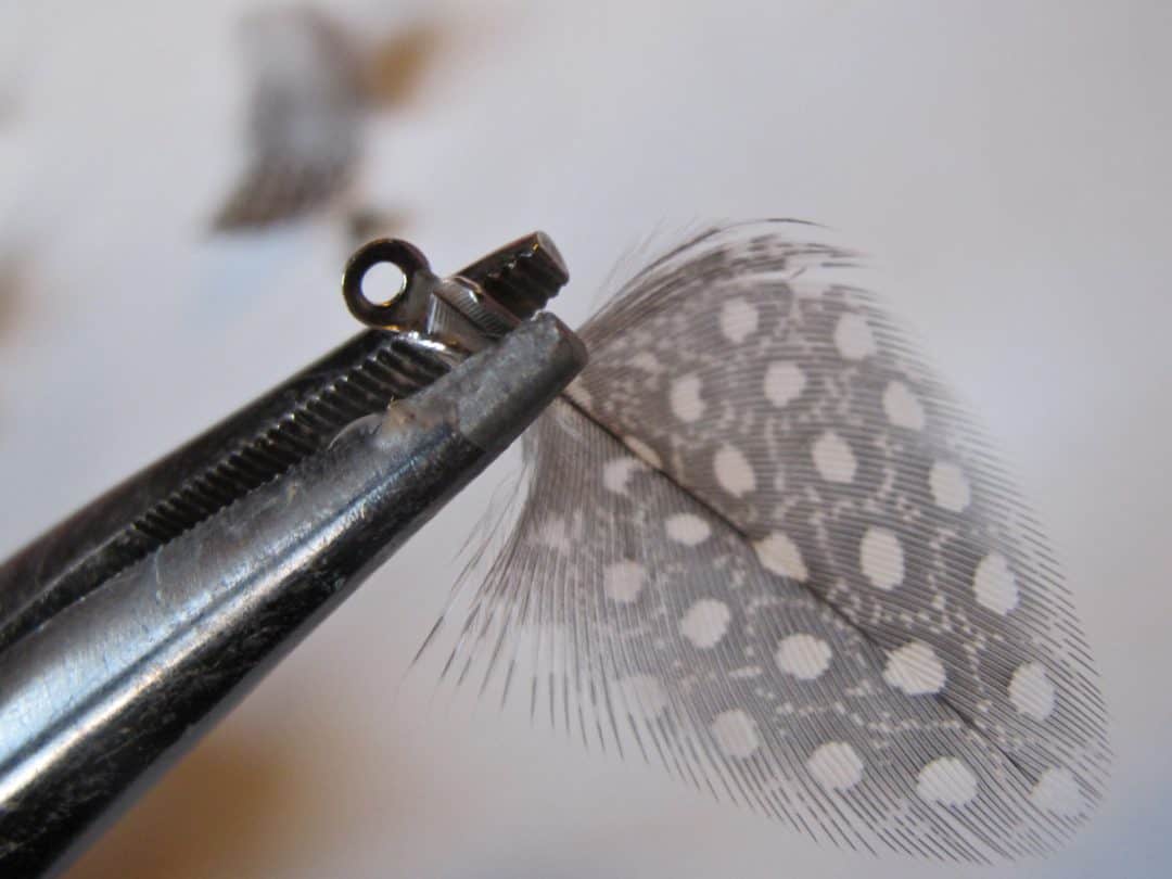 guinea feather earrings