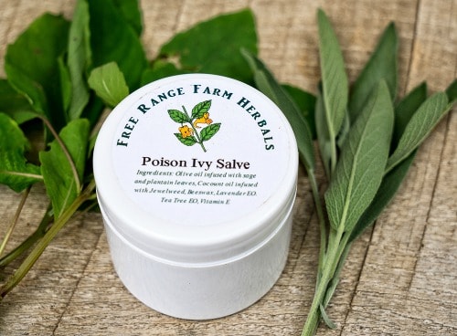 How to Make Jewelweed Salve for Poison Ivy, Bug Bites, or Rashes