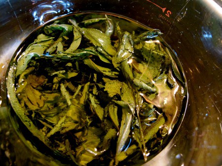 sage and plantain infusing in olive oil