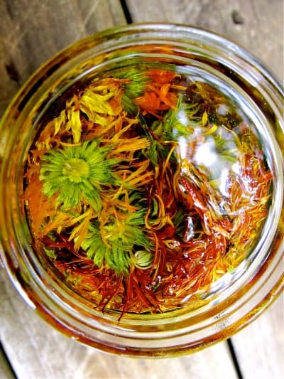 Calendula Uses and Benefits- Calendula Oil