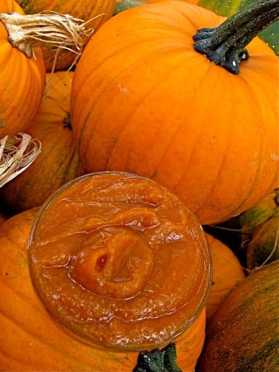 This pumpkin butter made with all the spices of your favorite pumpkin pie is full of fresh grown squash and full of the taste of fall!