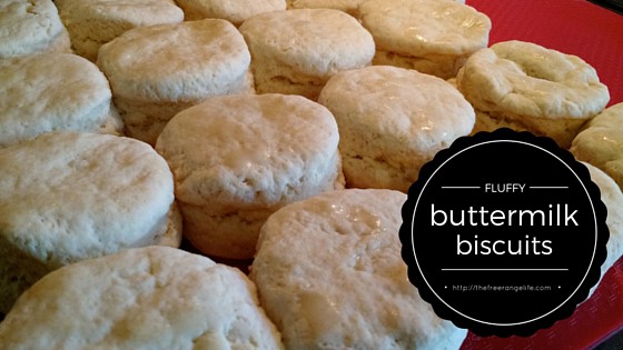 Homemade Fluffy Buttermilk Biscuits - The Free Range Life