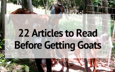 22 Articles to Read Before Getting Goats