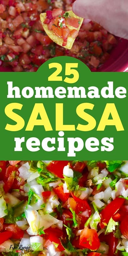 Salsa Recipes: Salsa isn't just for tomatoes anymore. From savory to sweet here are 25 Homemade Salsa Recipes you have got to try today!