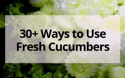 What to Do with Fresh Cucumbers (Recipes + How to Store Cucumbers)
