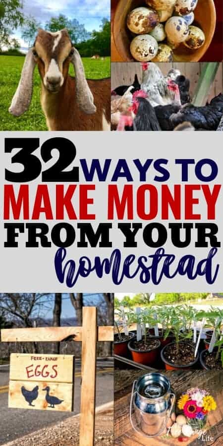 32 ways to make money from your homestead with collage of fresh eggs, goats, chickens, tomato plants, and flowers