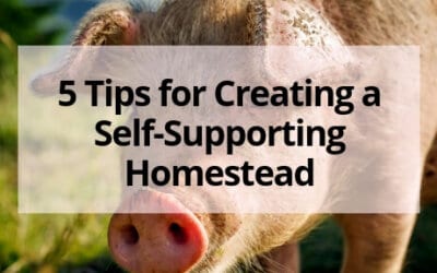 5 Tips for Creating a Self-Supporting Homestead