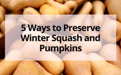 5 Ways to Preserve Winter Squash and Pumpkins