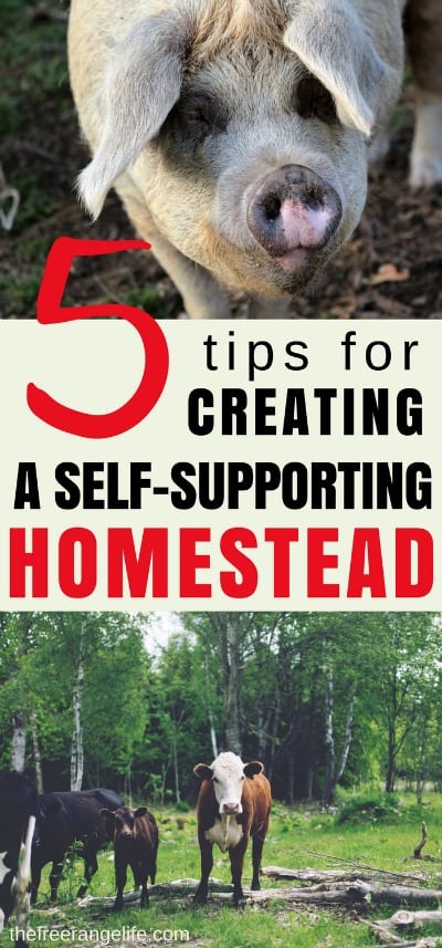 Make your hoemstead pay for it self! Learn how to create a self supporting homestead that pays for it's own upkeep and expenses. It is one of the first steps in becoming fully self sustainable!