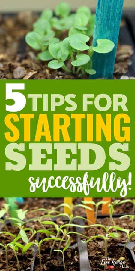 Starting seeds indoors can be tricky. Here are 5 tips to get the best results when starting your seeds indoors to get your garden off to the best start!