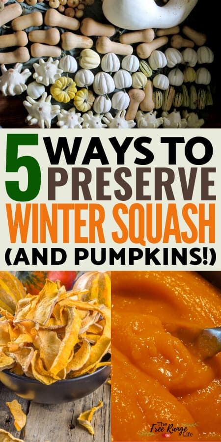 5 ways to preserve winter squash and pumpkins