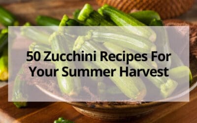 50 Zucchini Recipes For Your Summer Harvest