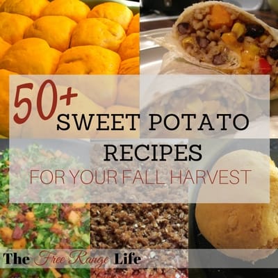 50+ sweet potato recipes for your fall harvest!