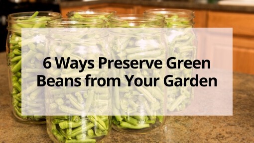 6 Ways to Preserve Food in Mason Jars