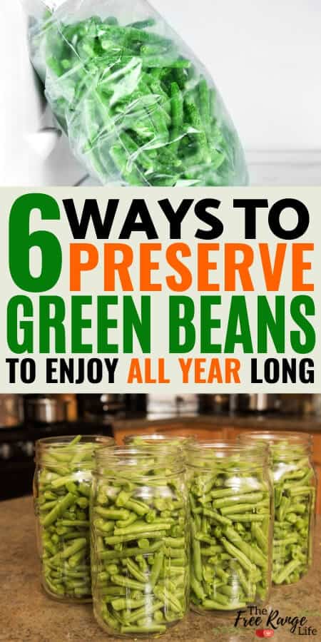 Preserving Green Beans in the Freezer for Food Storage