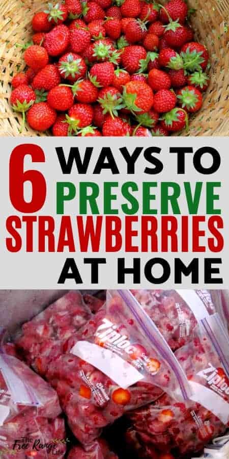 6 Ways to Preserve Strawberries at home