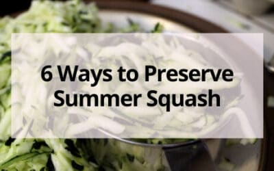 6 Ways to Preserve Summer Squash