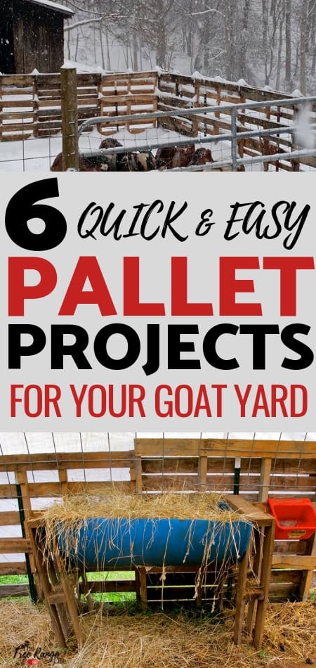 Raising Goats: Your goat yard doesn't have to be expensive, check out these 6 super easy pallet projects for your goat yard!