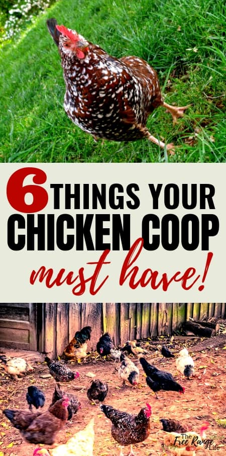 How To Winterize Your Chicken Coop Fresh Eggs Daily