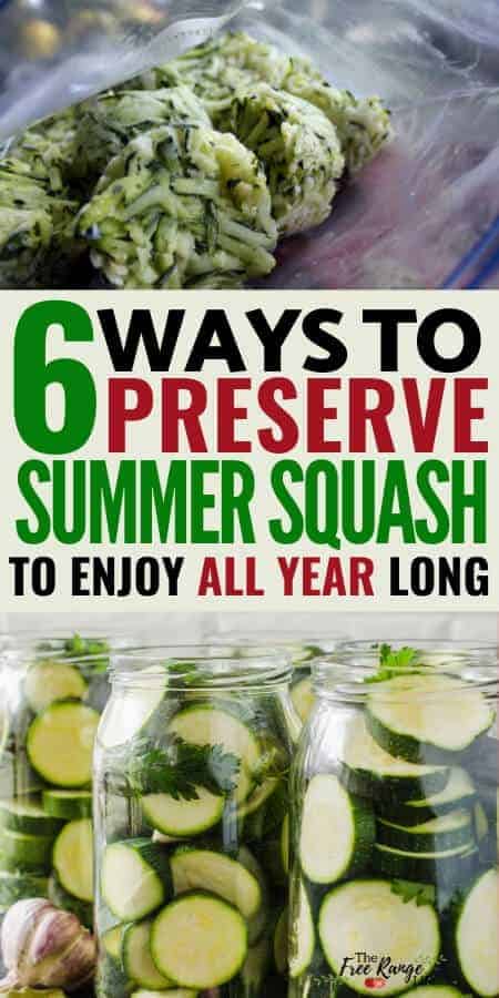 6 ways to preserve summer squash to enjoy all year long