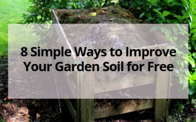8 Simple Ways to Improve Your Garden Soil for Free
