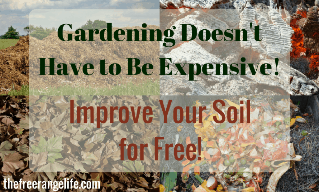 8 Simple Ways to Improve Your Garden Soil for Free