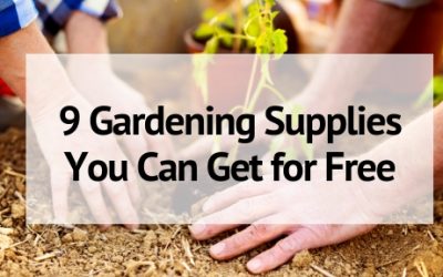 9 Gardening Supplies You Can Get for Free