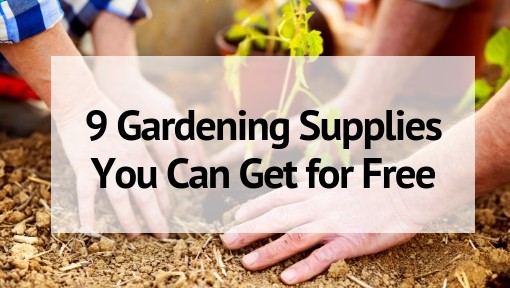 Free gardening equipment