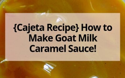 {Cajeta Recipe} How to Make Goat Milk Caramel Sauce!