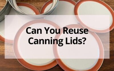 Can You Reuse Canning Lids?