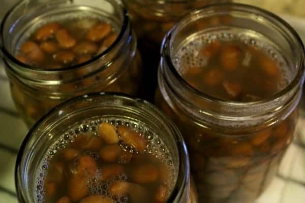 Pressure Canning Pinto Beans in the Presto Digital Canner