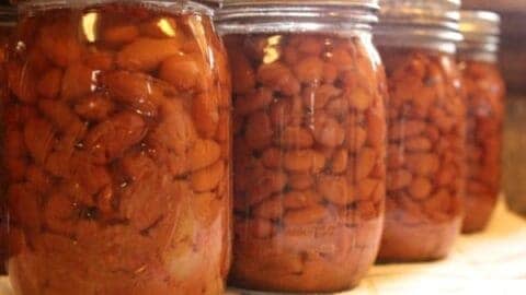 jar of beans images