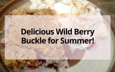 Delicious Wild Berry Buckle for Summer!
