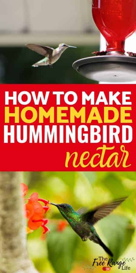 Homemade hummingbird nectar recipe to attract more hummingbirds