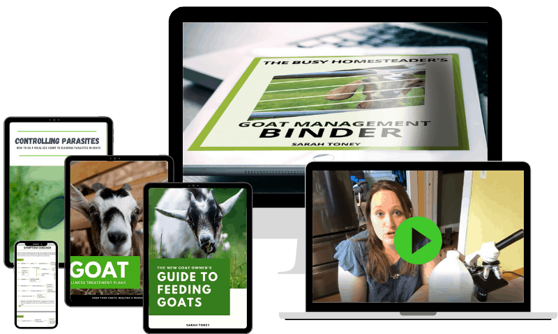 learn to raise goats tools- bundle of goat books for sale in with the goat management binder