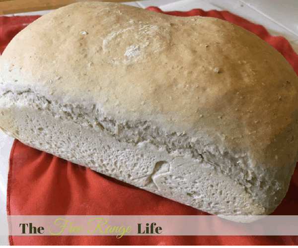 Honey Oatmeal Bread: OMG! I love this. There is nothing better than fresh homemade bread.