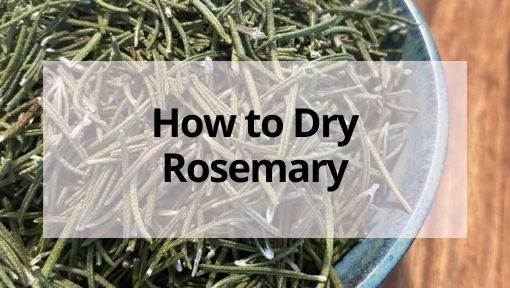 How to Dehydrate rosemary