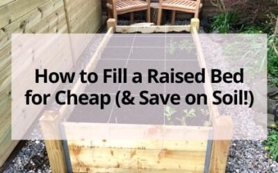 How to Fill a Raised Garden Bed for Cheap!